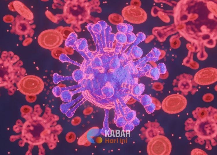 Berikut 6 Fakta Virus HMPV yang Merebak di China, Apakah Berbahaya? 1 Ilustrasi virus