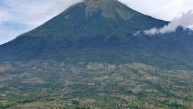 gunung sumbing