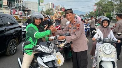 jepara 12