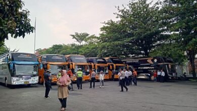 mudik gratis 1