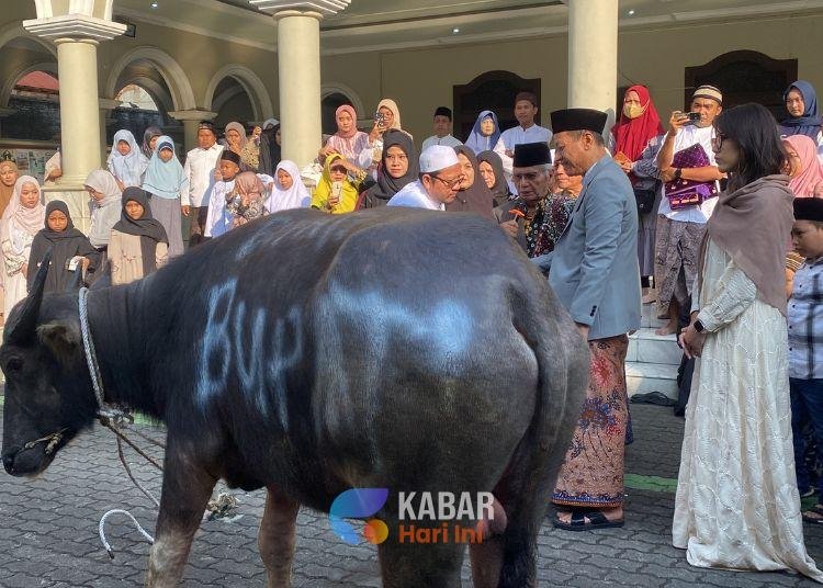 Pegang Tradisi, Bupati Kudus Serahkan Kerbau Sebagai Hewan Kurban 1 Template 21