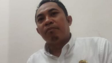 pati 89