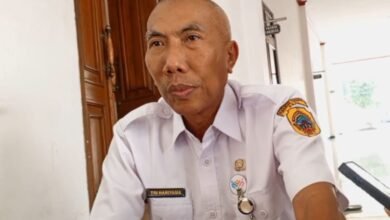 desa 1