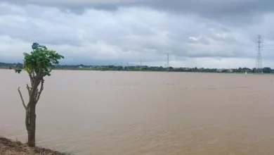 jepara 2026 01 15T122400.927